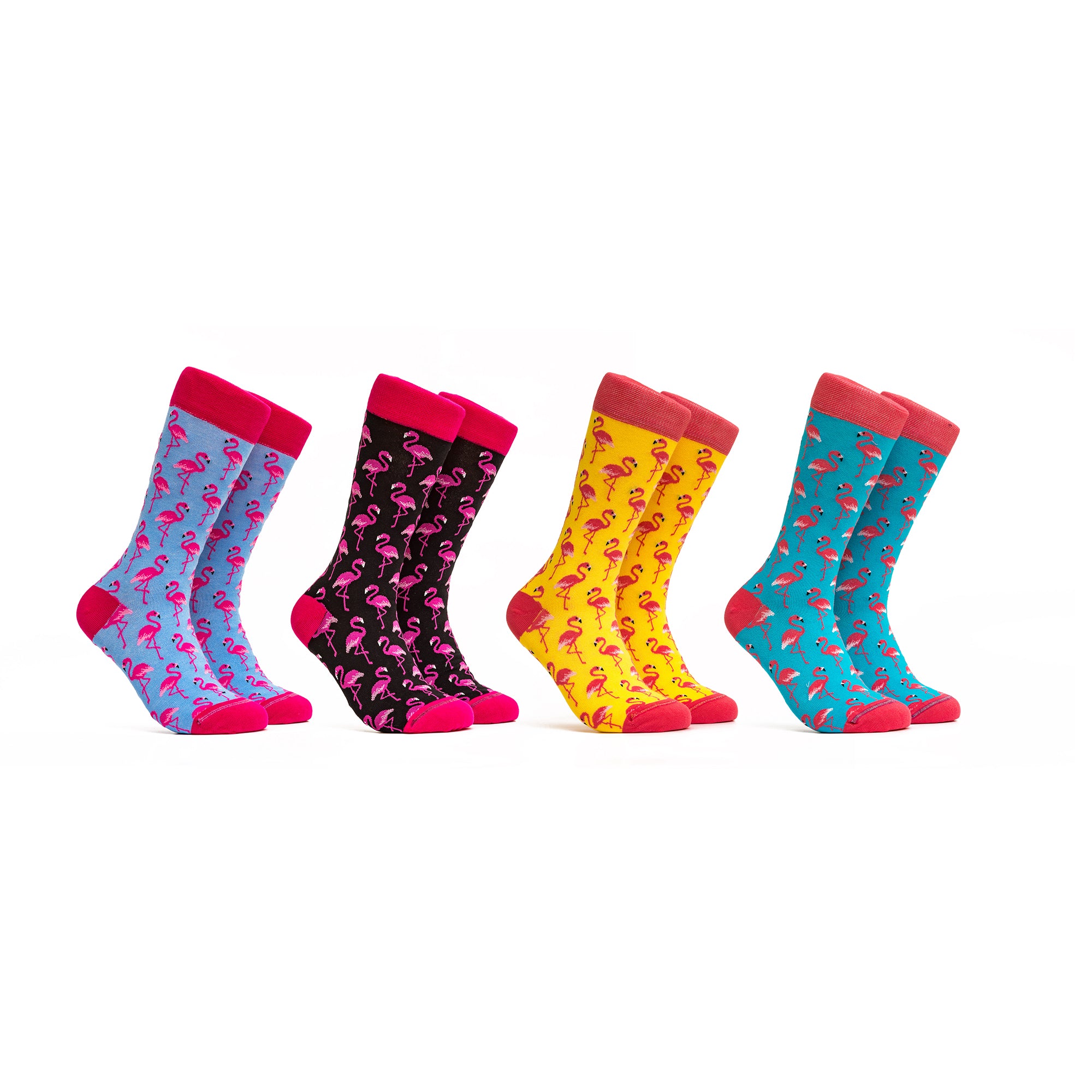 Flamingo Combo - Colors Yellow, Turquoise, Black and Blue - 4 Pairs